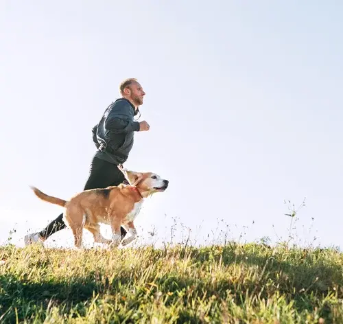 Homem correndo ao ar livre com seu cachorro em um campo aberto, manhã ensolarada, prática de atividade física ao ar livre, vida saudável, bem-estar