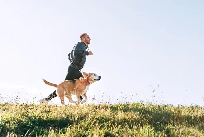 Homem correndo ao ar livre com seu cachorro em um campo aberto, manhã ensolarada, prática de atividade física ao ar livre, vida saudável, bem-estar