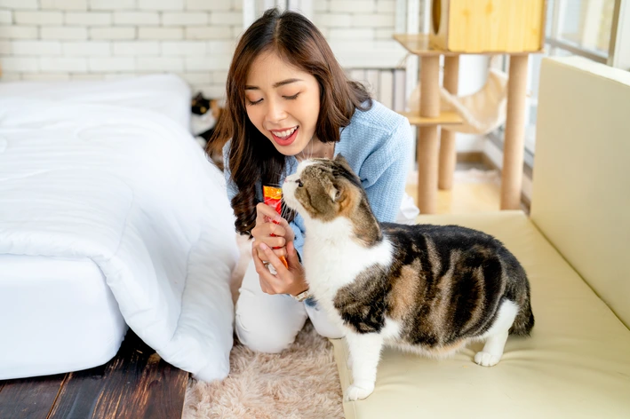 Mulher alimentando um gato com ração úmida