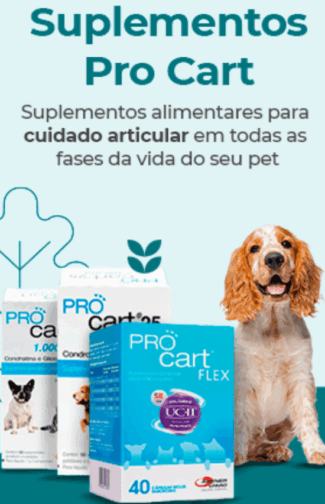 325x504_capa-webstories
