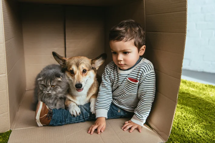 Criança com cachorro e gato