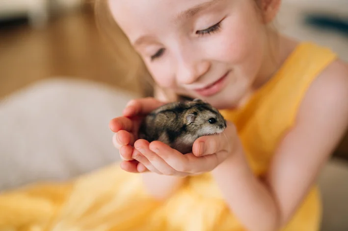 Hamster para criança