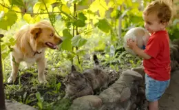 Quiz | Animal de estimação para crianças