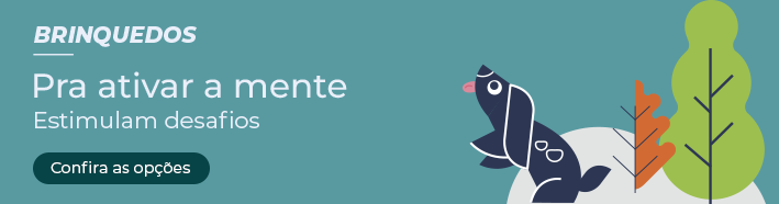 Brinquedos para ativar a mente