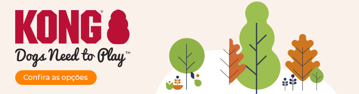 Brinquedos Kong