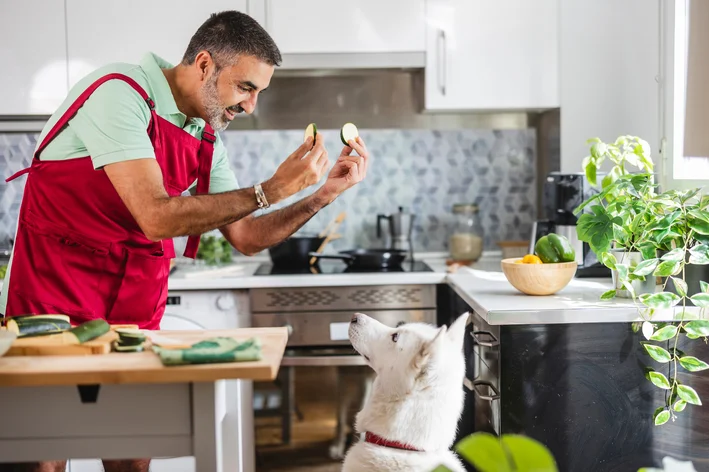 Cachorro da raça Jack Russell Terrier recebendo um pedaço de abobrinha