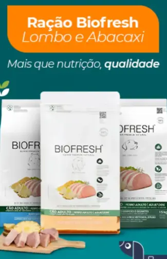 325x504_Capa-webstories