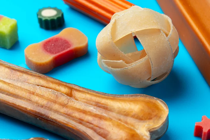 Diferentes tipos de petiscos para cachorro