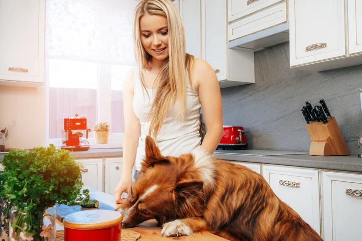 Mulher sorridente com cabelo loiro brincando com um cachorro de pelagem marrom na cozinha ensolarada, decorada enquanto prepara uma refeição para o pet