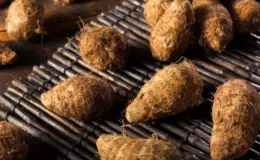 Inhames dispostos sobre uma esteira de metal, destacando a textura rústica e natural do alimento.