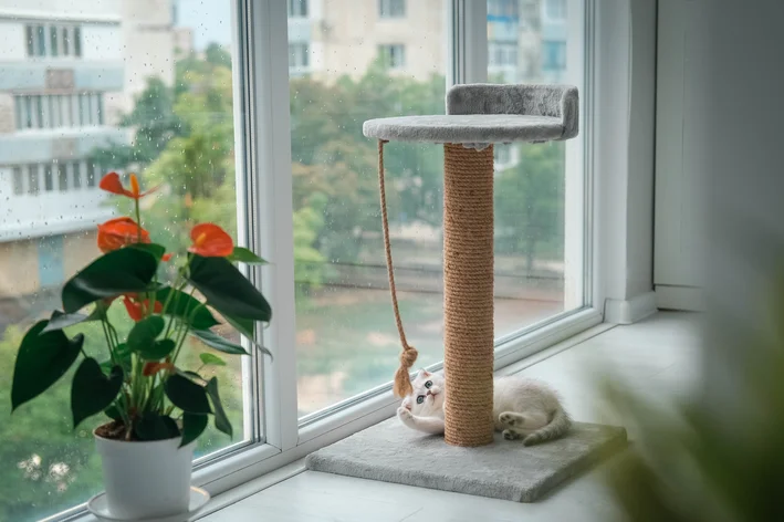 Gato deitado perto de um arranhador do tipo árvore de gato.