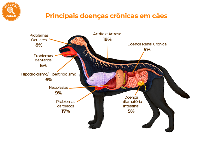 infográfico Cobasi sobre as principais doenças crônicas em cães