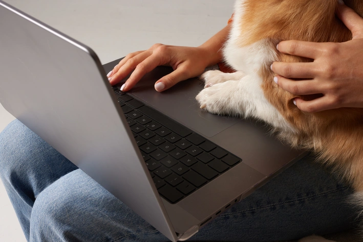 tutor usando o notebook e fazendo carinho no cachorro