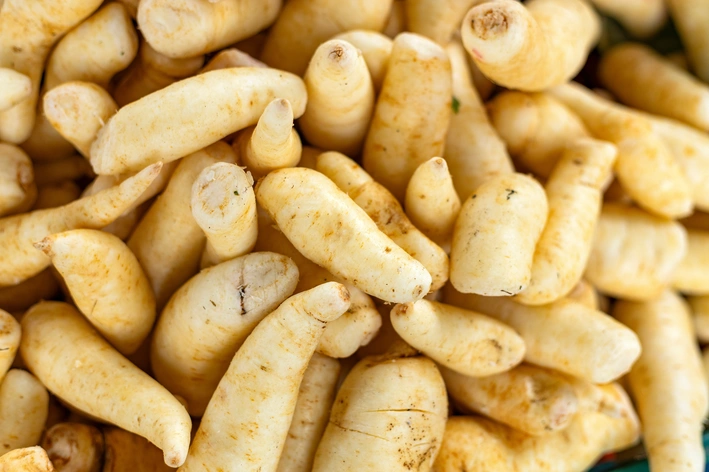 Cachorro pode comer mandioquinha