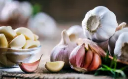 cachorro pode comer alho