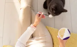 Pessoa com pele clara e roupas claras sustenta uma tigela de sorvete ao lado de um gato preto deitado no chão de madeira clara. O ambiente é decorado com uma almofada amarela e uma cama confortável.