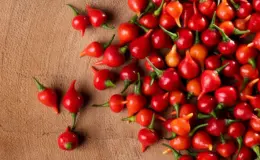 Variedade de pimentas malagueta vermelhas e amarelas espalhadas sobre uma superfície de madeira, destacando a textura e a cor vibrante dos ingredientes.