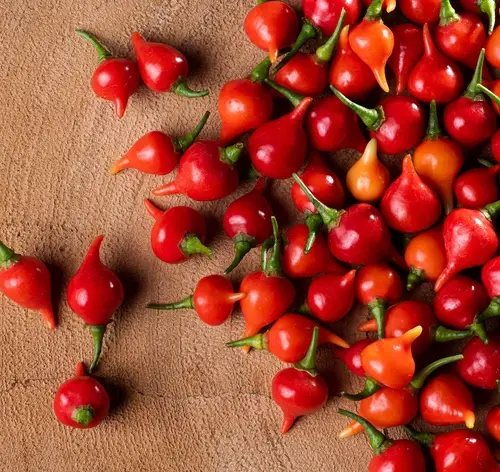 Variedade de pimentas malagueta vermelhas e amarelas espalhadas sobre uma superfície de madeira, destacando a textura e a cor vibrante dos ingredientes.