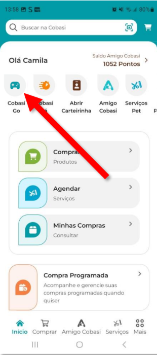 cobasi go caça aos ossos
