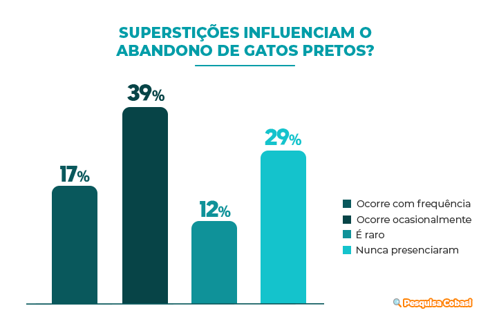 Superstições podem influenciar o abandono de gatos pretos