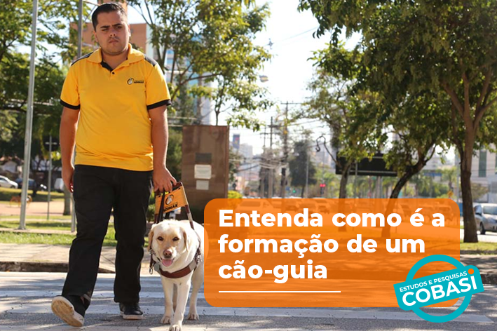 imagem de Em média 2 anos e investimento de até R$ 100 mil por cão-guia: estudo da Cobasi com o Instituto Adimax revela como funciona a formação