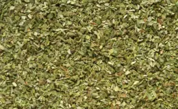 cachorro pode comer orégano