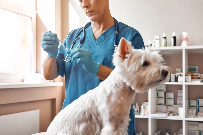 vacina para cachorro