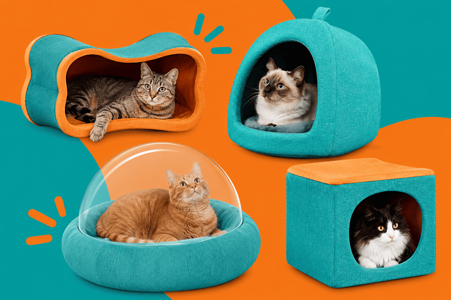 imagem de Quiz: Saiba qual toca ou cama combina com a personalidade do seu gato!