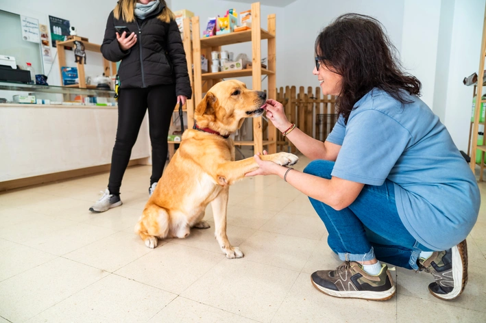 Vale a pena fazer plano de saúde para pet