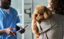 tutora com poodle no colo conversando com veterinário