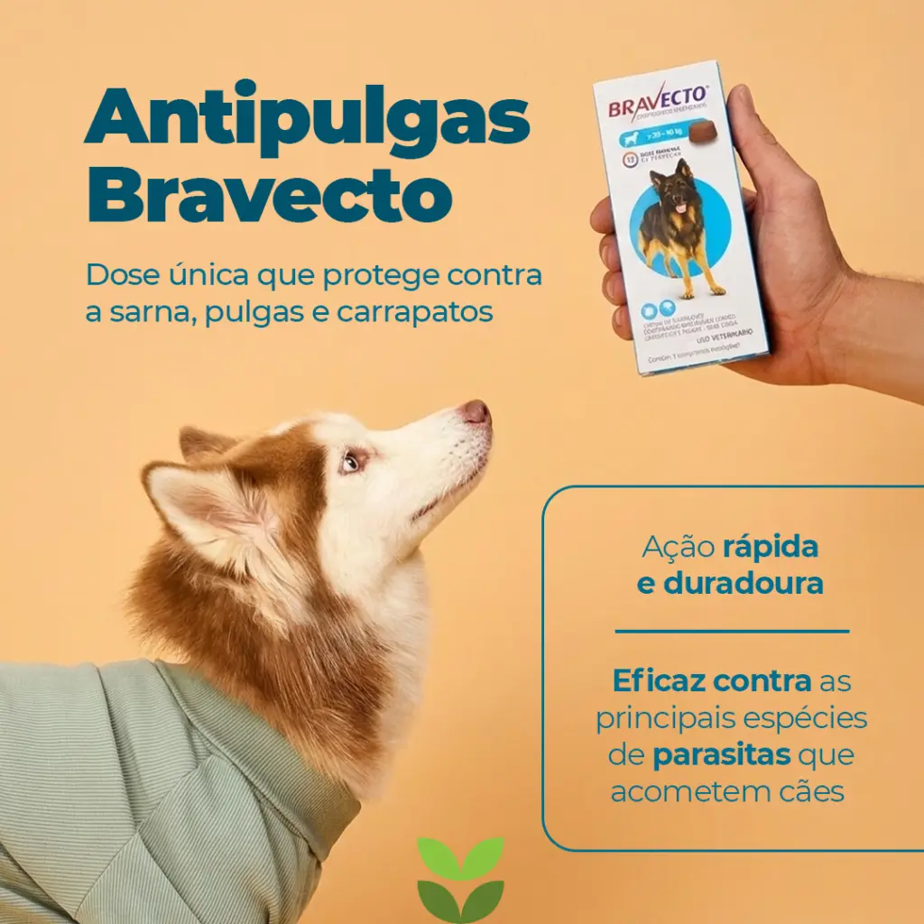 bravecto comprimido