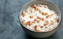 cachorro pode comer arroz e feijão