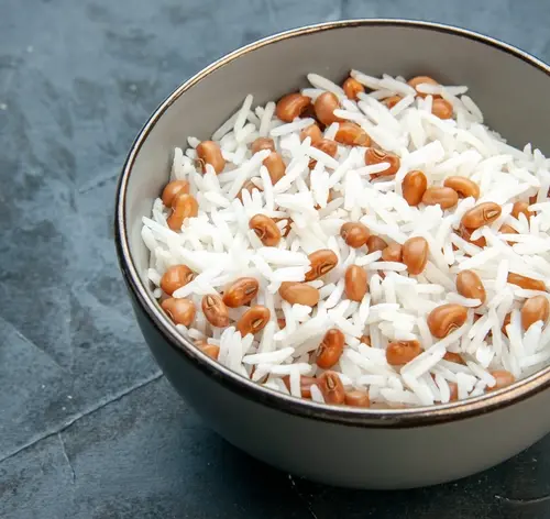 cachorro pode comer arroz e feijão